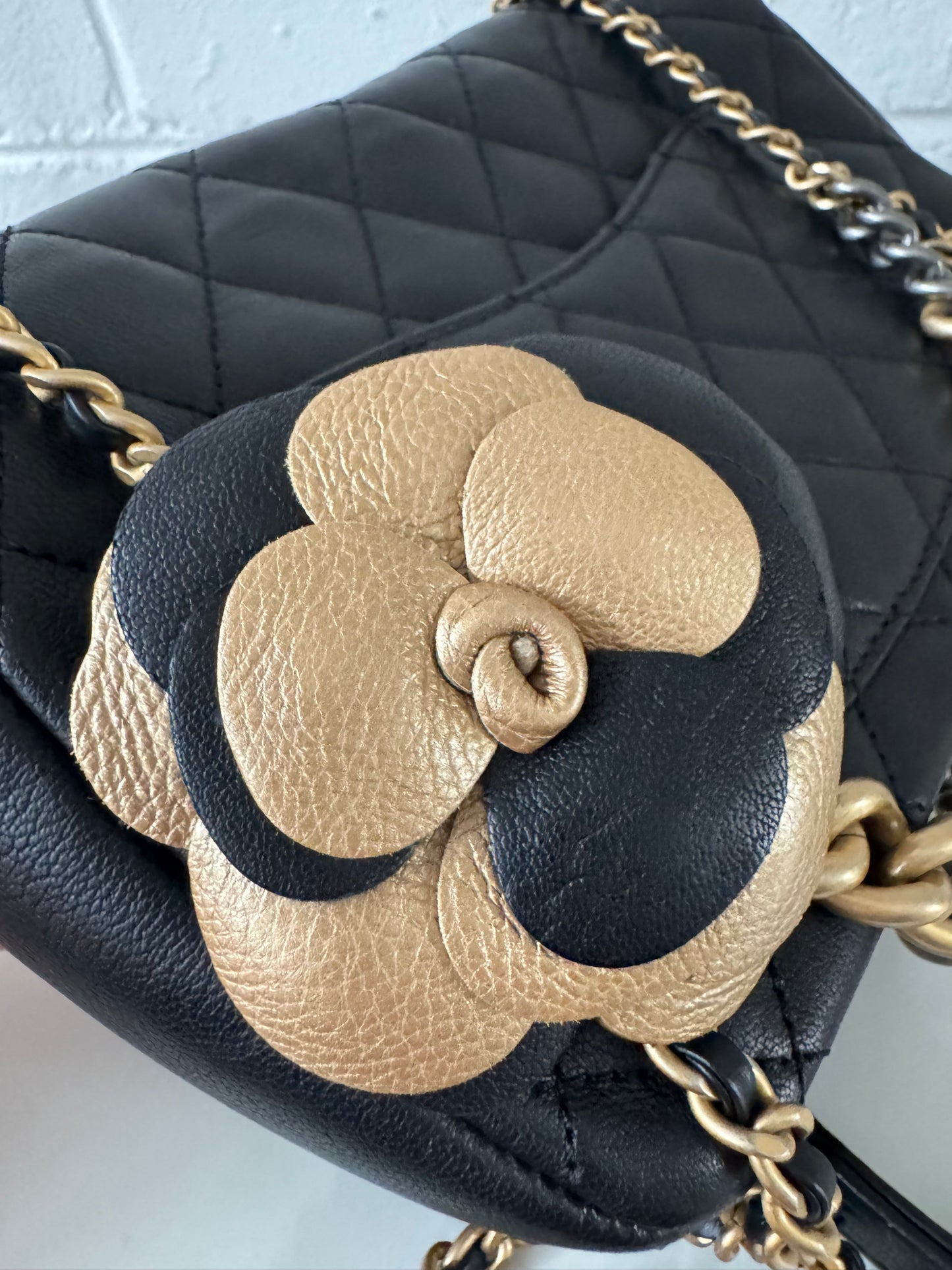 Chanel Paris-Cosmopolite Private Affair Camelia Flap Bag